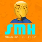 What does SMH Mean | SMH Meaning in Text